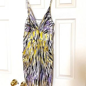 NWT 💕Silk Dress by Haven